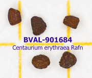 image of the seed from sample 