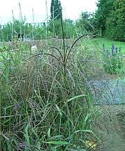 Foto von Muster  