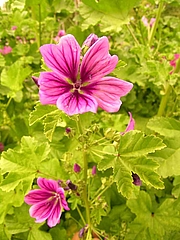 Foto von Muster  
