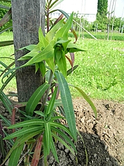Foto von Muster  
